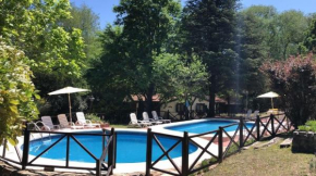 Cabañas Lorelei